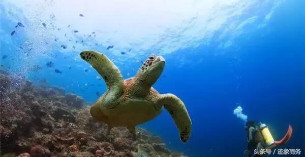 十个海岛,10个海岛