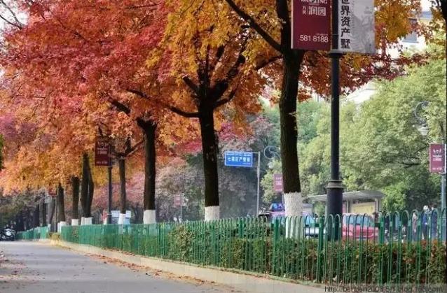 桂林周边轻奢酒店推荐,桂林最高端的度假酒店