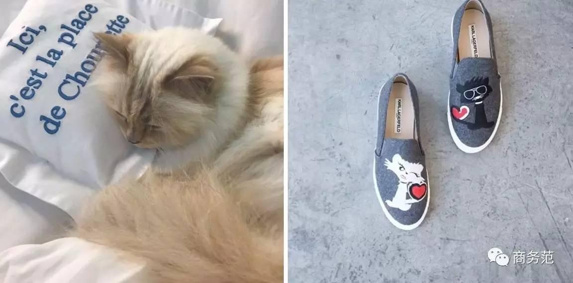 七匹狼7个明星代言,七匹狼3.9元