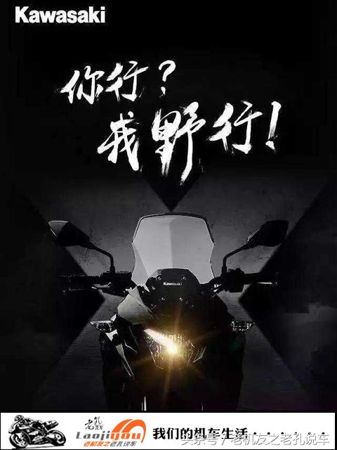 川崎versysx300官方解除限制,川崎versysx300多少钱