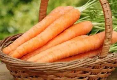 吃什么食物能预防卵巢早衰,吃什么食物可以预防卵巢早衰