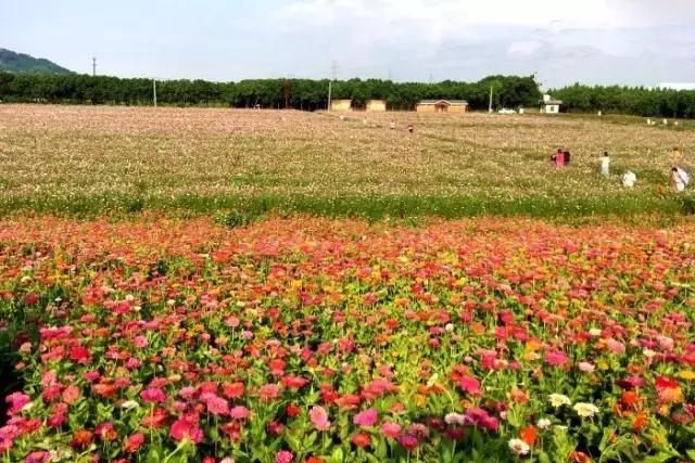 宁波浪漫的约会地点,宁波求婚地方推荐
