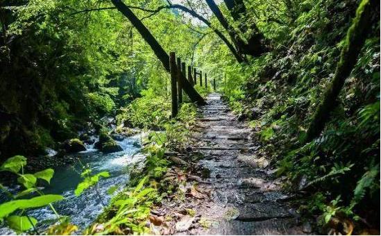 成都周边爬山最佳徒步攻略自由行,成都周边小众徒步冬季景点