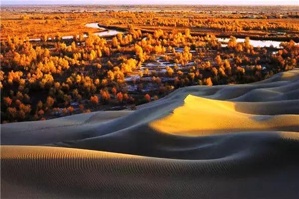 三千年的情缘，三千年的企盼只为这一季的金秋（附攻略）