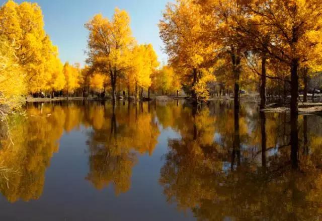 三千年的情缘，三千年的企盼只为这一季的金秋（附攻略）