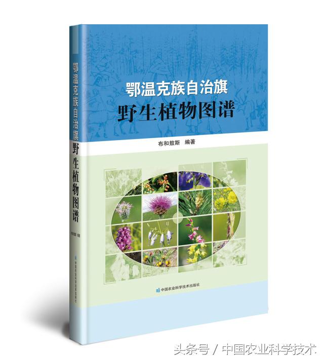 走进大兴安岭原始森林,探秘野生动物世界