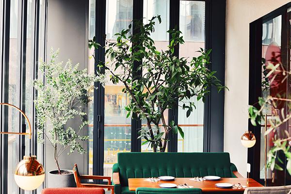 耀扬：我和我的厨房