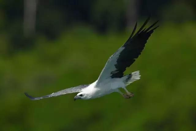 几分钟了解佳能6d2,尼康d850到底有多厉害