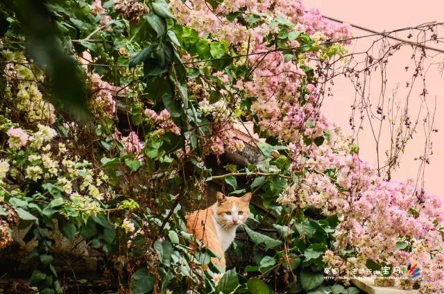 适合亲子旅行的海岛,亲子游玩的海边一日游