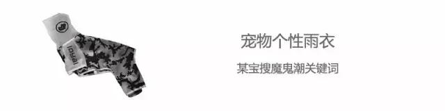 家有毛孩子|老司机说不买齐这些甭养狗