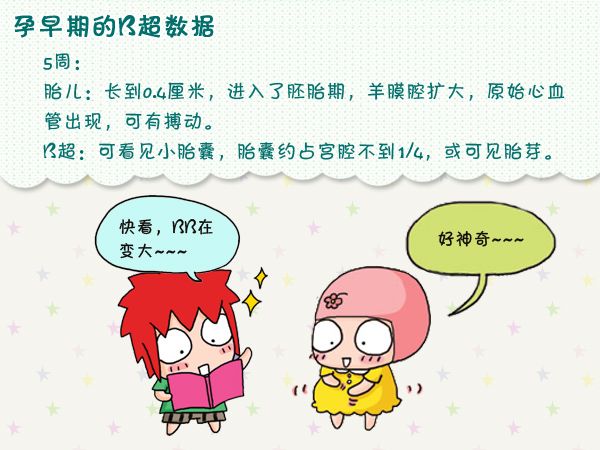 怀孕多久可以做B超,怀孕多久可以做b超看胎心胎芽