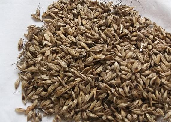 胃很疼怎么办吃什么药好得快,胃的疼痛及治疗处理方法有什么