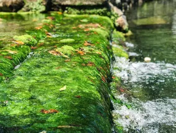 濑户——喜欢你那一抹蓝色光芒(上)