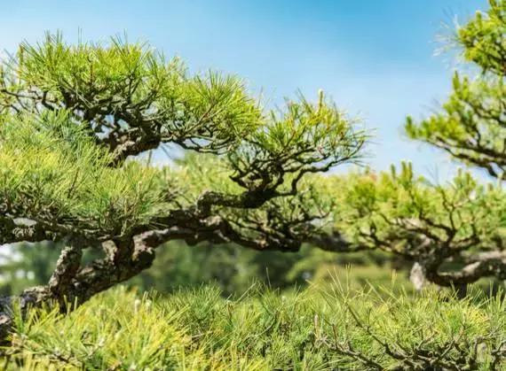 濑户——喜欢你那一抹蓝色光芒(上)