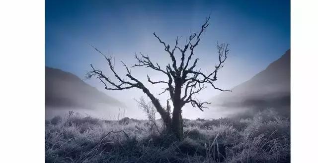 尼康d850现在还值得入手吗,目前尼康d850还值得购买吗