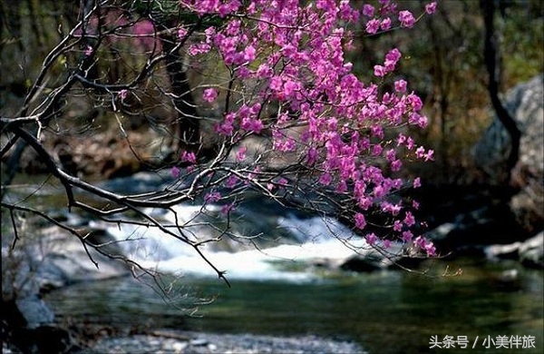 山清水秀景色迷人如入仙境,最美的溪水山水美景