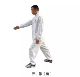 裁判带球走步手势,裁判手势详解视频教程