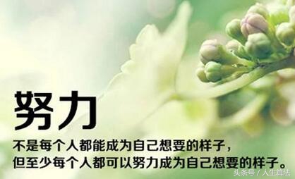 c编程初学者基础函数,c语言入门自学公式