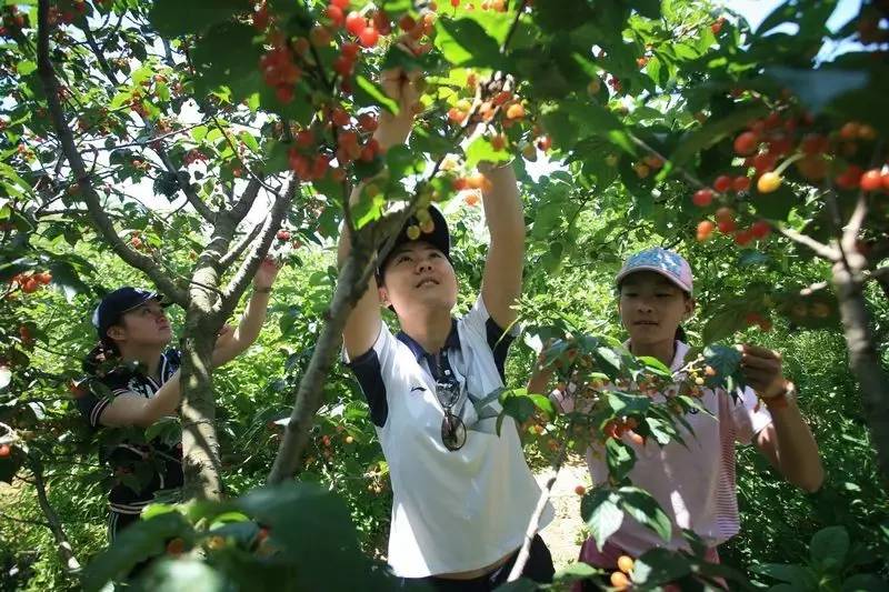 原来宁国是这样被创造的？！传说是老天爷不小心的杰作！