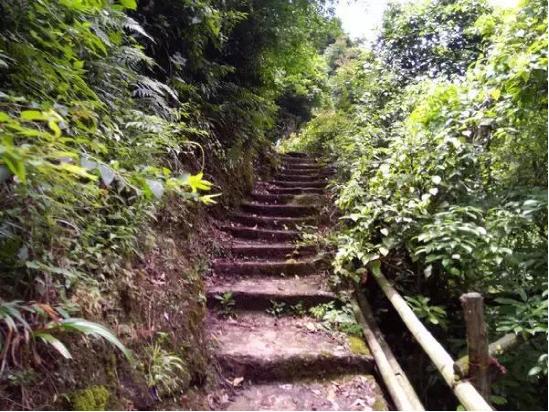 成都周边爬山最佳徒步攻略自由行,成都周边小众徒步冬季景点