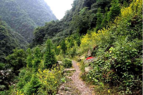 成都周边爬山最佳徒步攻略自由行,成都周边小众徒步冬季景点