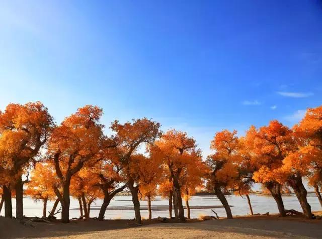 三千年的情缘，三千年的企盼只为这一季的金秋（附攻略）