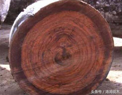 识木料,识木头后续