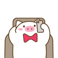 有些“菊花”的事您不好意思说,我帮你解答!