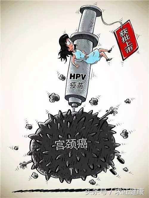 关于宫颈癌疫苗的基础知识,关于宫颈癌疫苗的知识