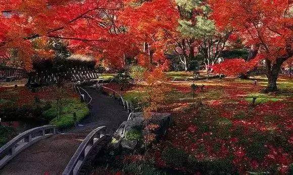 八月份定下的目标,秋季关西旅游攻略