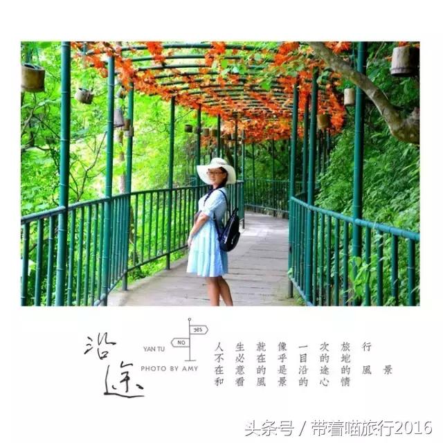 游浙江宁波奉化溪口雪窦,奉化溪口雪窦景区