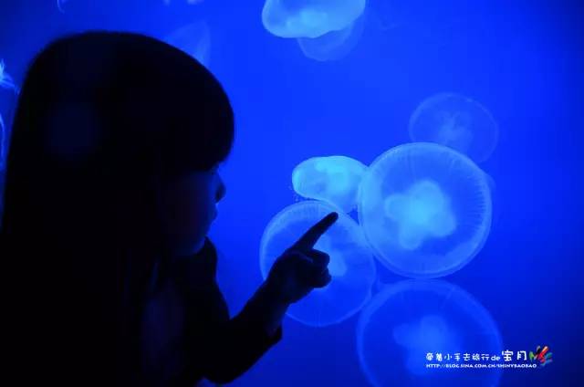 适合亲子旅行的海岛,亲子游玩的海边一日游