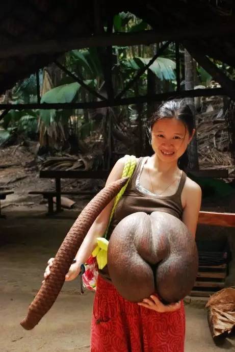 适合亲子旅行的海岛,亲子游玩的海边一日游