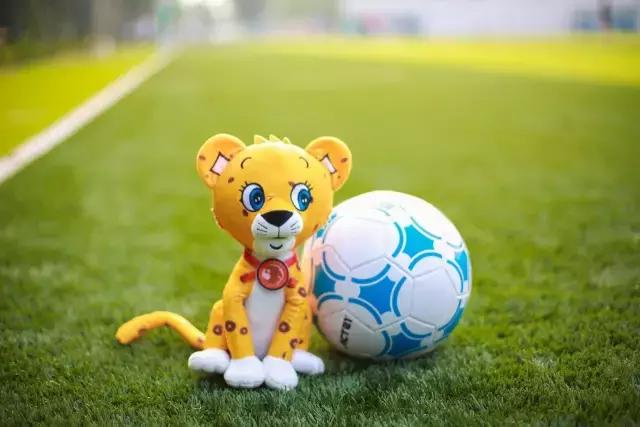 牛掰了！恒昌抱抱率队霸气出征中国网媒足球精英赛