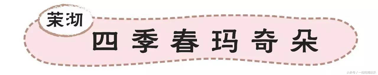 苏州的喜茶便宜的店有哪些,苏州喜茶哪个店正宗最多