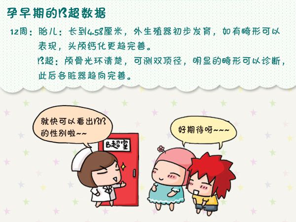 怀孕多久可以做B超,怀孕多久可以做b超看胎心胎芽