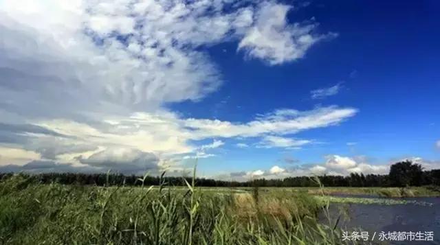 河南永城的最大优点,河南永城之美