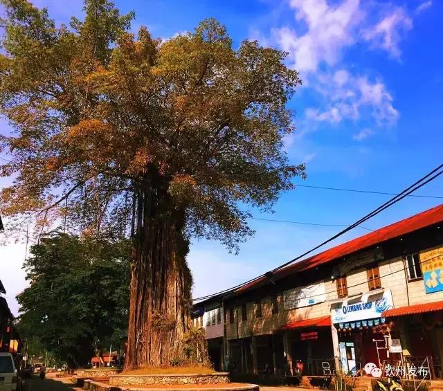 期待！微电影《我在钦州等你》赴关丹取景，将展现中马两国深厚情谊