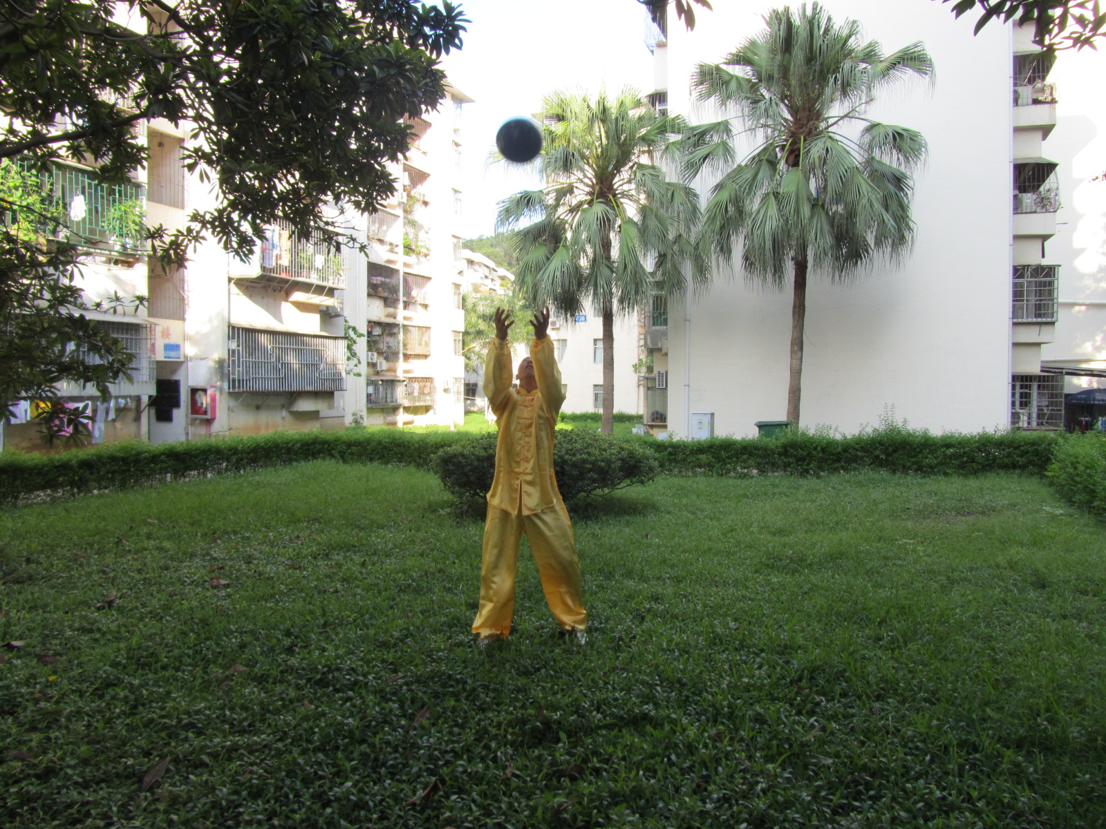 怎么提升你的武术能力,怎样提高太极内功技术