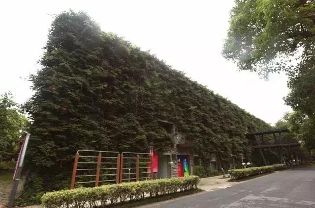 最近杭州发生的大事件,杭州今年有什么大事件