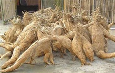 吃什么食物能预防卵巢早衰,吃什么食物可以预防卵巢早衰