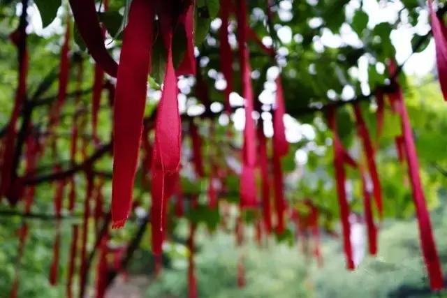 宁波浪漫的约会地点,宁波求婚地方推荐