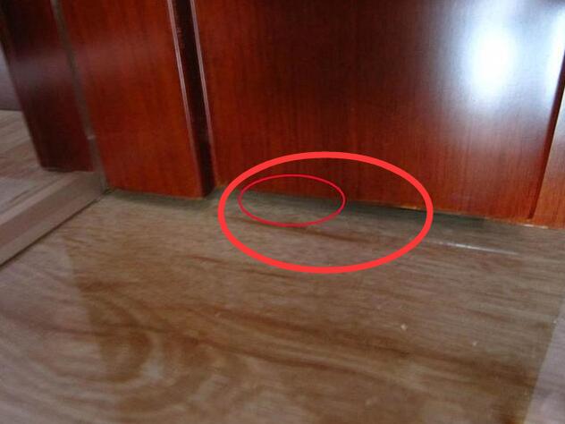 入住1年的家,入住1年