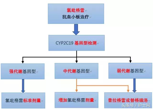氯吡格雷与替格瑞洛有什么区别,替格瑞洛与氯吡格雷的桥接