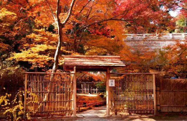 八月份定下的目标,秋季关西旅游攻略