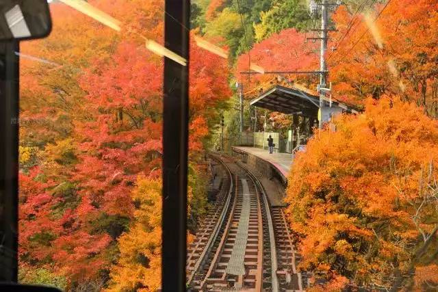 八月份定下的目标,秋季关西旅游攻略