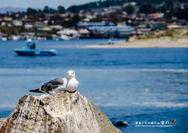 适合亲子旅行的海岛,亲子游玩的海边一日游