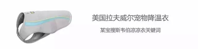 家有毛孩子|老司机说不买齐这些甭养狗