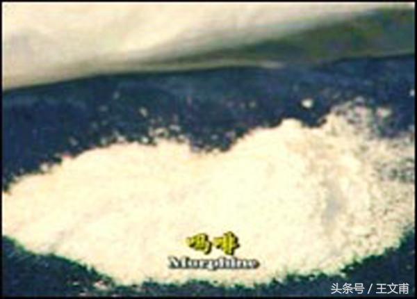 *啡吗**的药理作用是什么？有哪些危害？