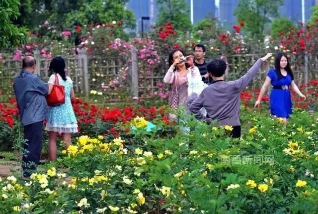 在南昌生活必须接受的六大现实,在南昌生活真实感受